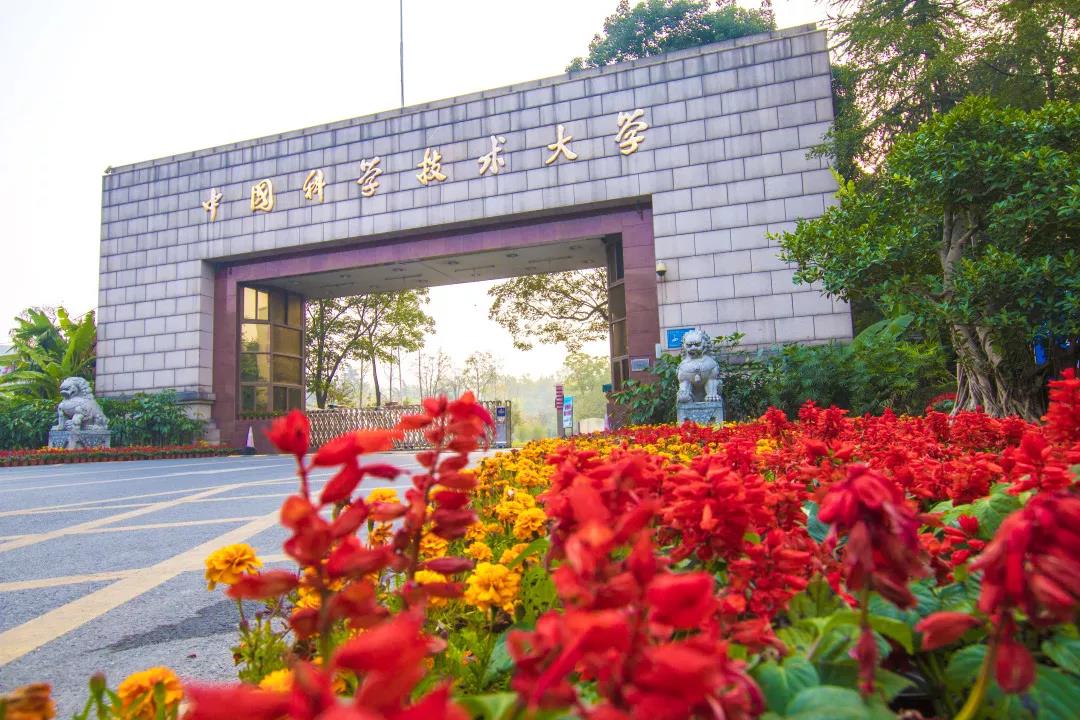 公开信息按发布时间滚动